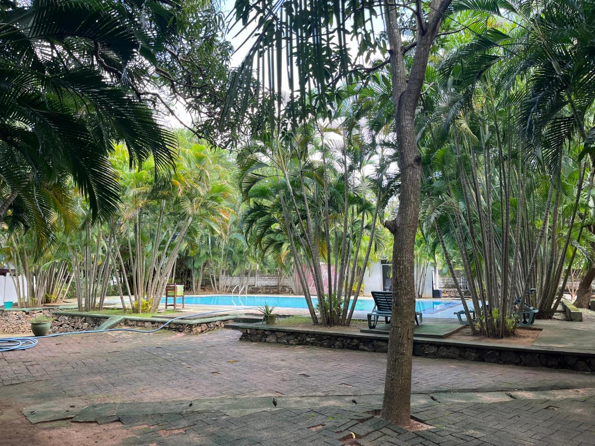 Royal Green Garden - Puttalam Exterior photo